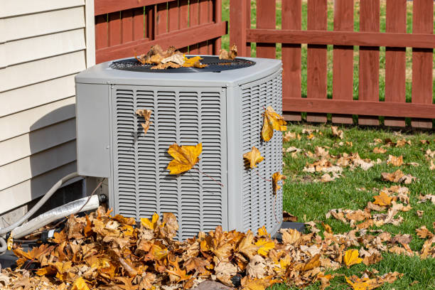 Best Ductless HVAC repair  in Elmo, TX